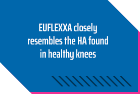 Euflexxa closely resembles the HA found in healthy knees